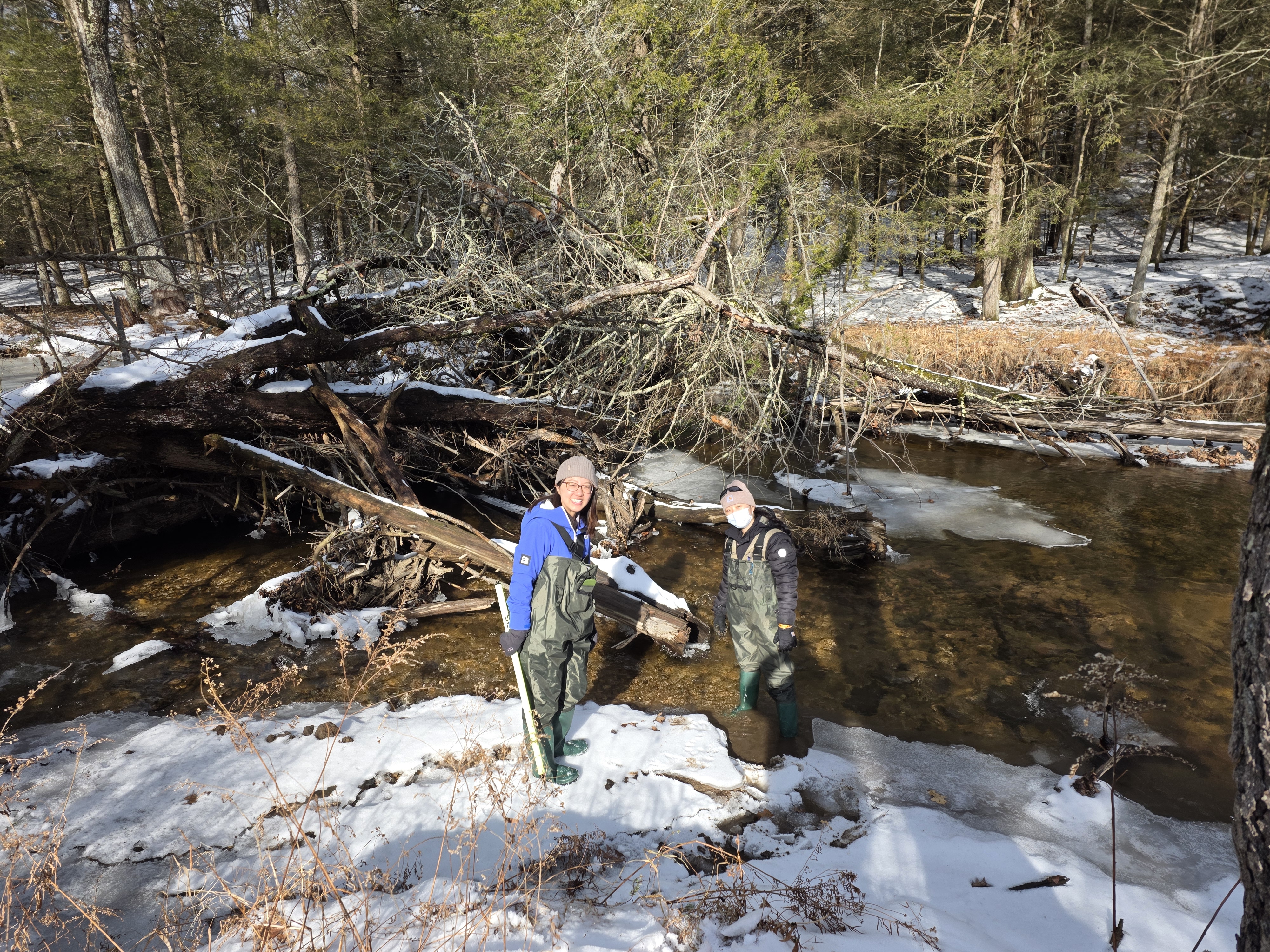Beaver dam at Fenton with Lijing and Yeonju