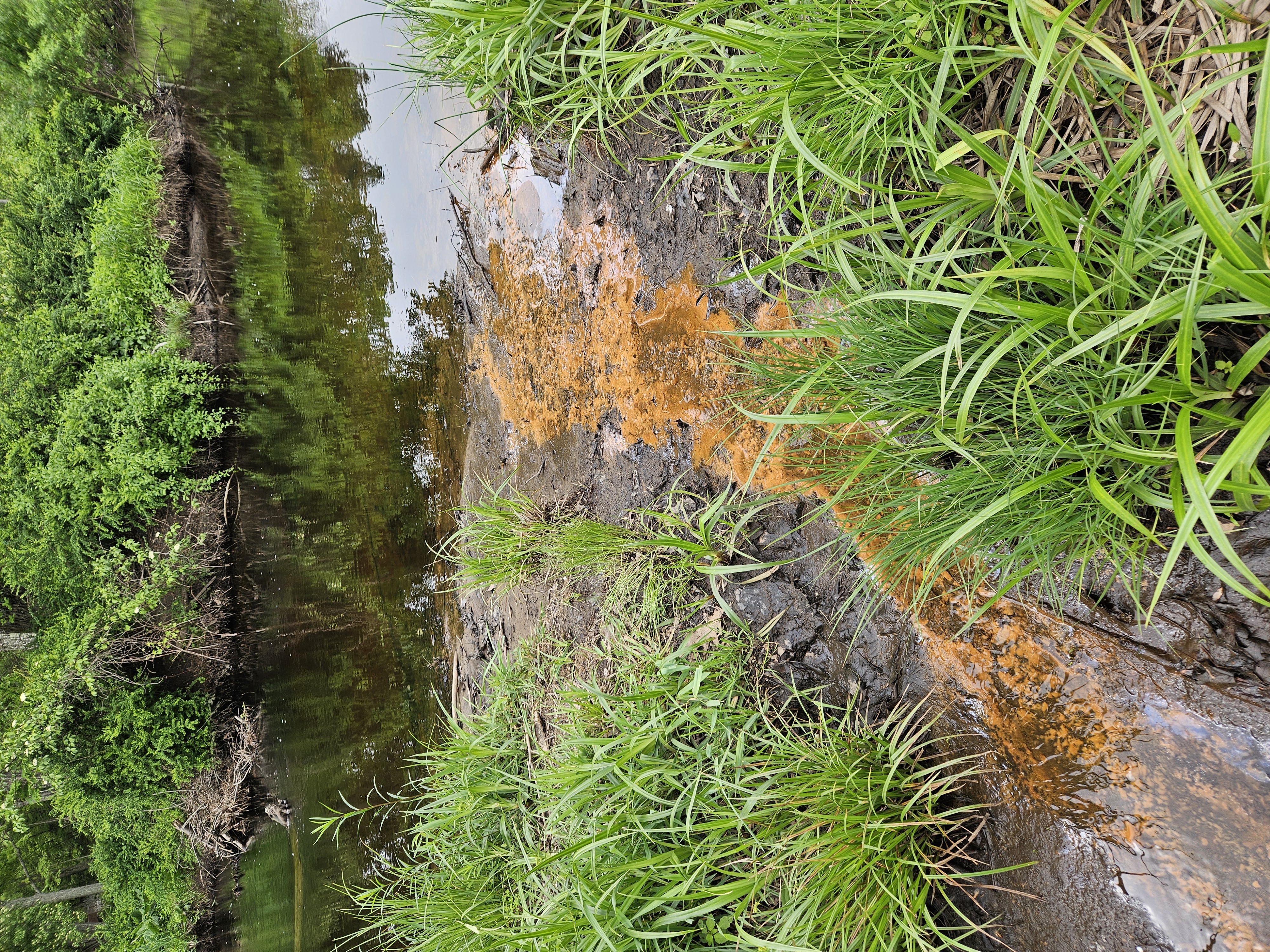 Return flow near a beaver dam