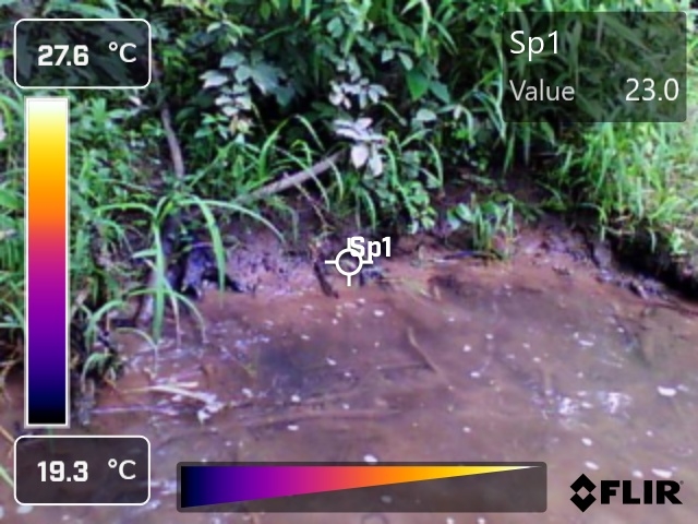 RGB image of the river