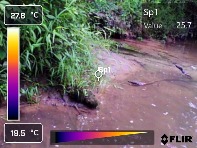 RGB image of the river, second site